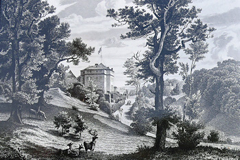 Ansicht von Schloss Ettersburg im 19. Jh. 
