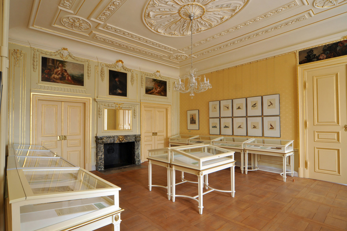Gelber Salon @ Foto: Christian Freund