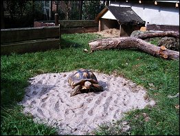 Tierpark Bad Liebenstein