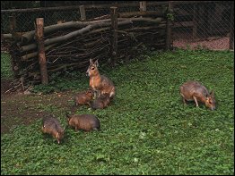 Tierpark Bad Liebenstein