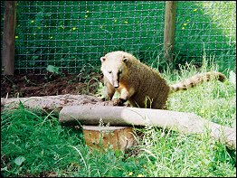 Tierpark Bad Liebenstein