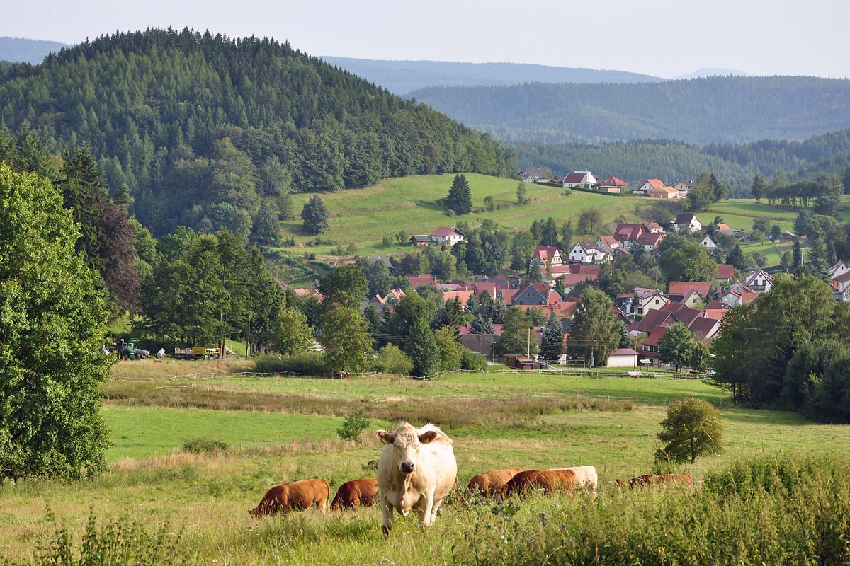Bermbach im Thüringer Wald