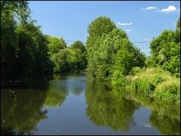 Flusslandschaft an der Saale