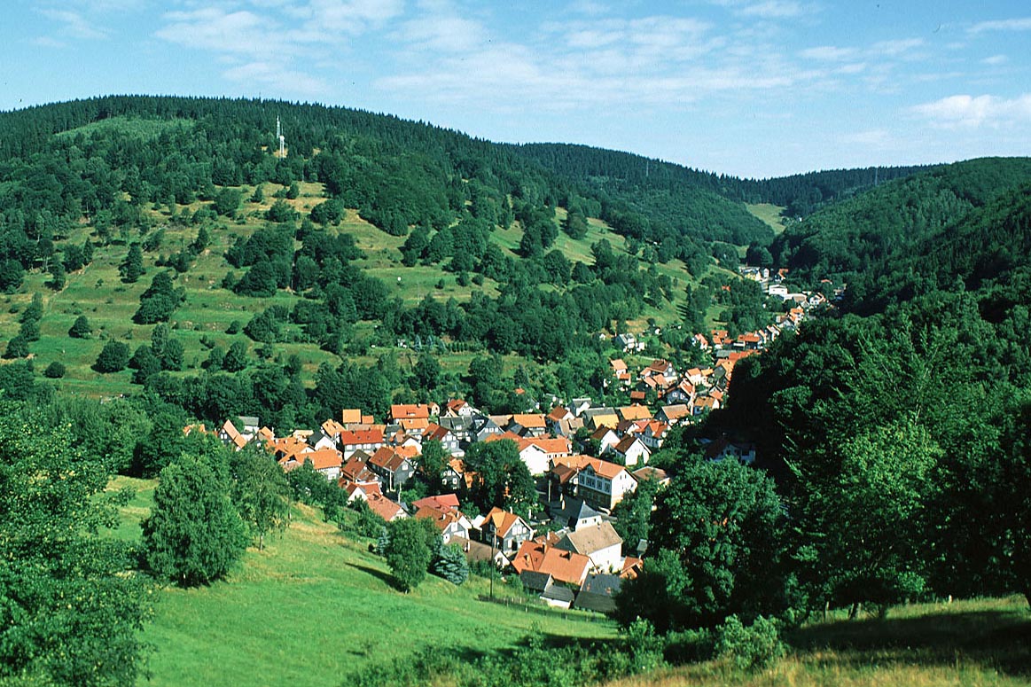 Blick vom Löffelberg