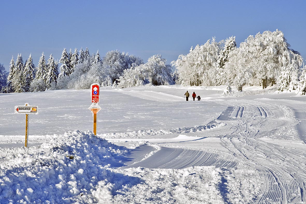 Ski fahren im Winter