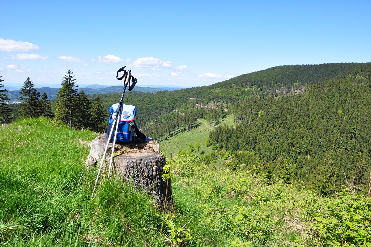 Landschaft im Thüringer Wald