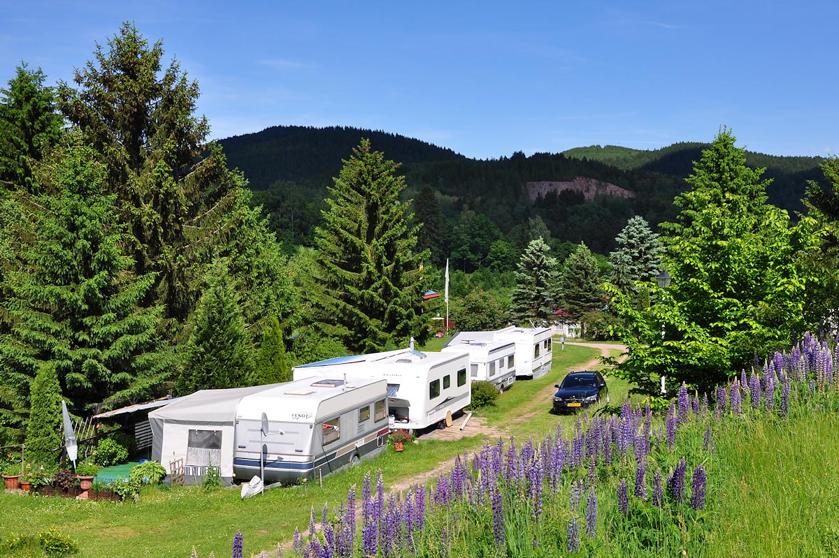 Campingplatz am Waldbad
