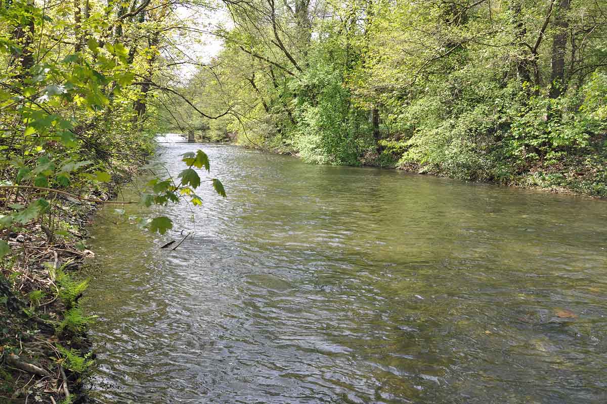 Der Fluss Schwarza (ideal zum Angeln)