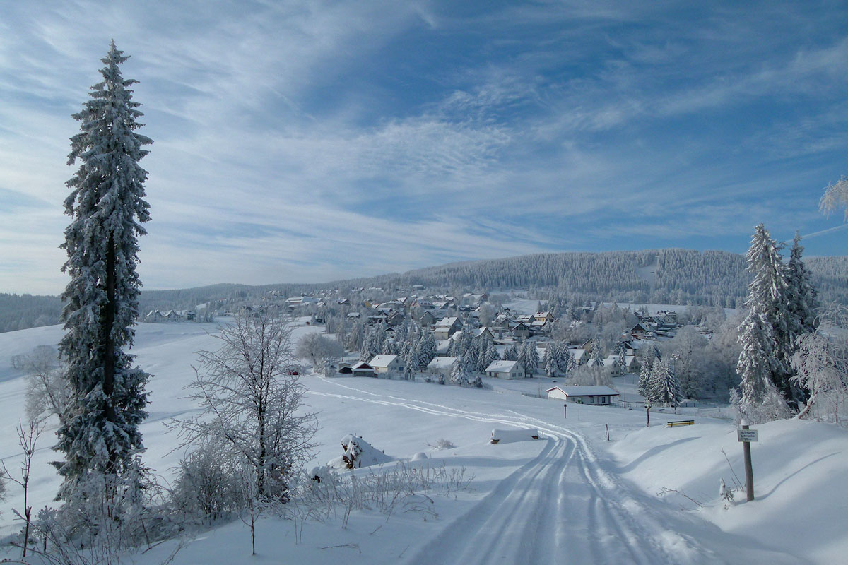Blick auf Gehlberg im Winter