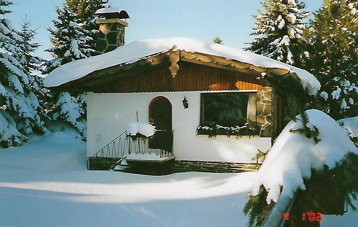 Ferienhaus am Wald im Winter