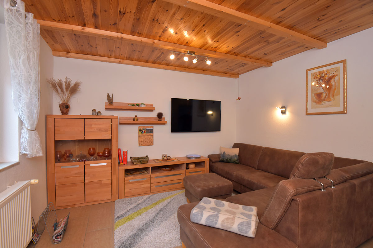 Wohnzimmer mit Couch, Kamin und TV