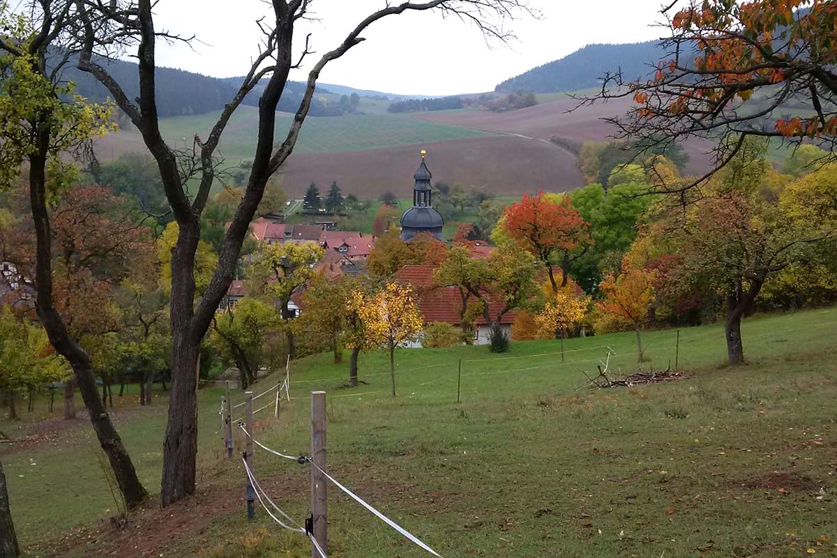 Blick auf das Dorf Thälendorf
