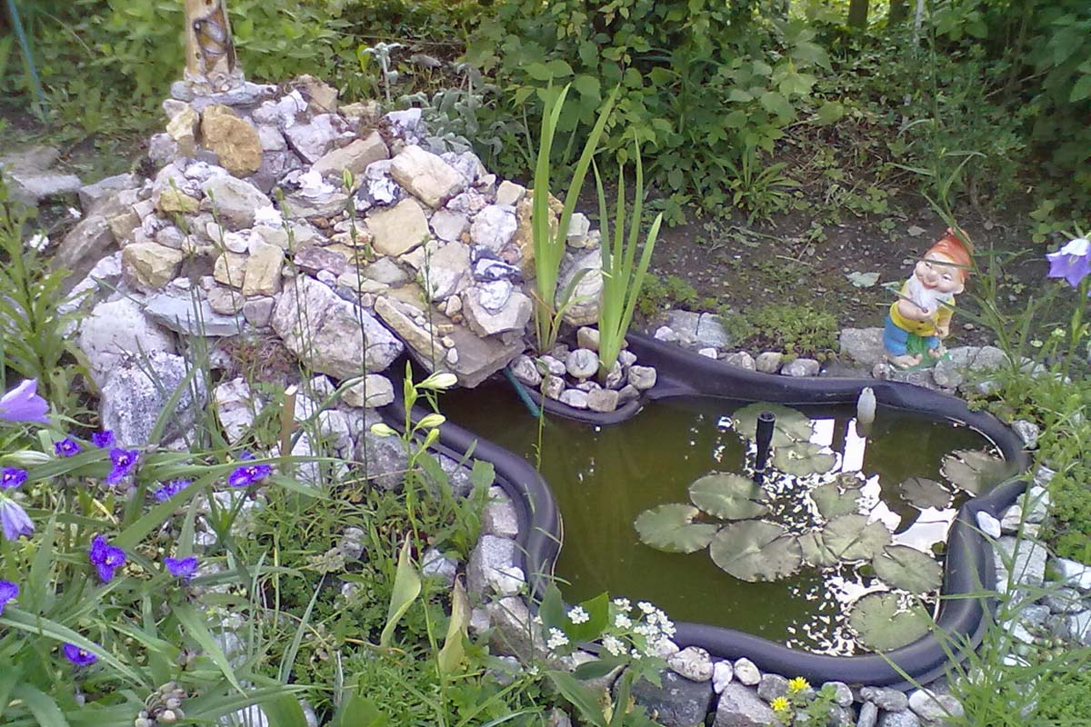 kleiner Teich im Garten