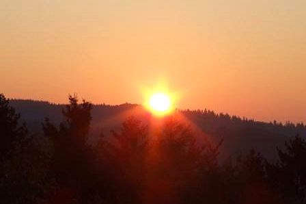 Sonnenuntergang im Thüringer Wald