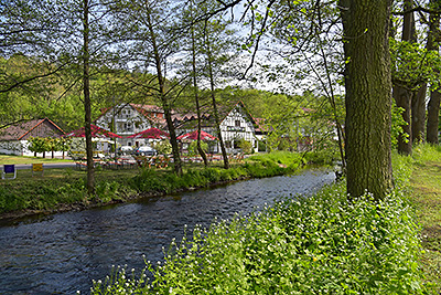 Hotel-Der-Distelhof-Dillstaedt