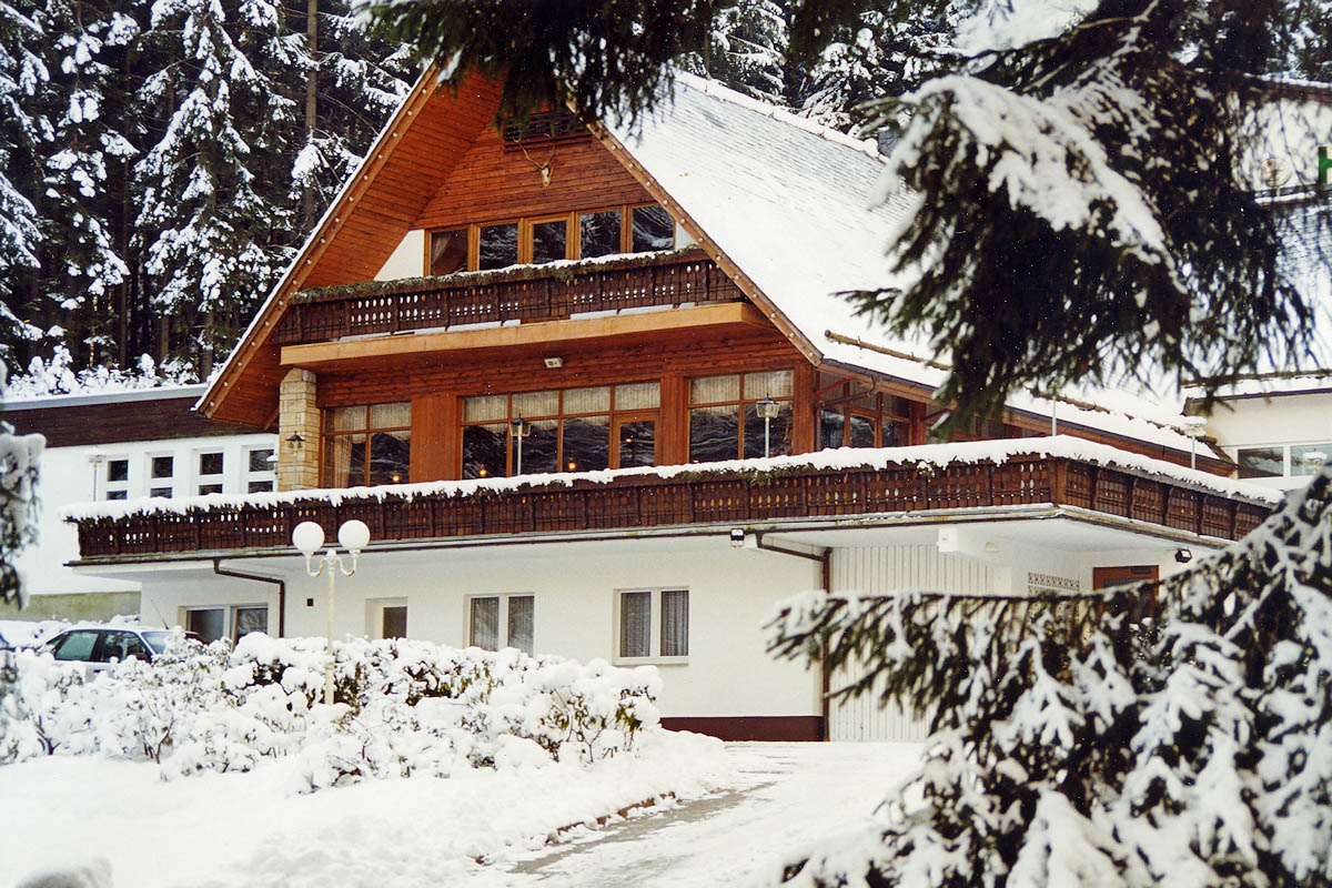 Waldhotel Ehrental im Winter