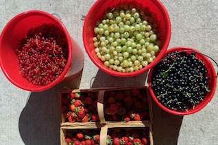 Marmeladenmanufaktur "EwigLeben mit Genuss"