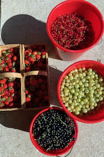Marmeladenmanufaktur "EwigLeben mit Genuss"