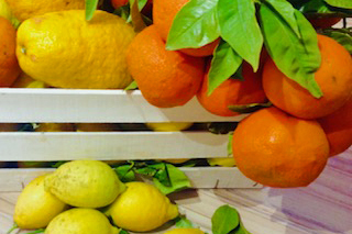 Marmeladenmanufaktur "EwigLeben mit Genuss"