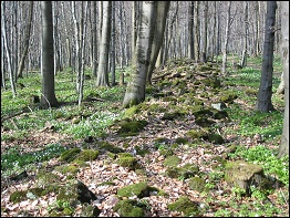 Keltischer Ringwall auf dem Baier