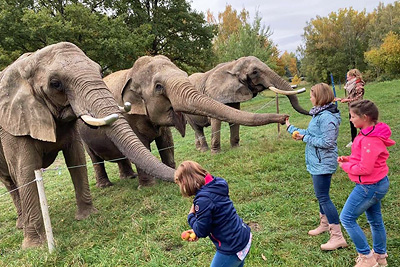 Erlebnispark Starkenberg