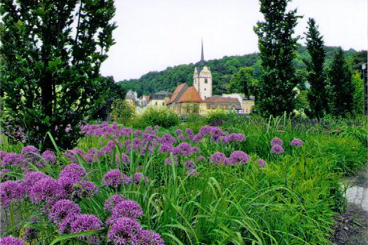 Hofwiesenpark Hofwiesenpark
