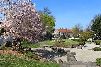 Kirschblüte im Japanischen Garten