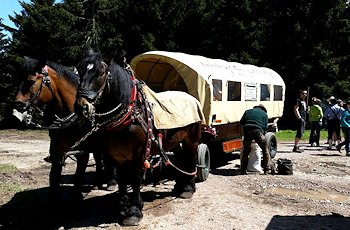 Planwagen- & Pferdeschlittenfahrten