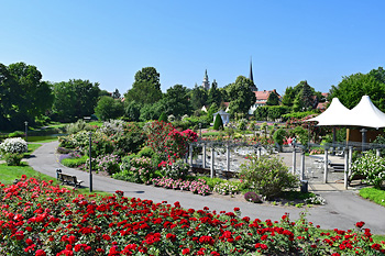 Rosengarten in Bad Langensalza