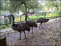 Tierpark Bad Liebenstein Tierpark Bad Liebenstein