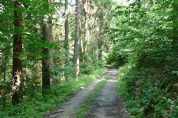 Zeitzgrund und Mühltal