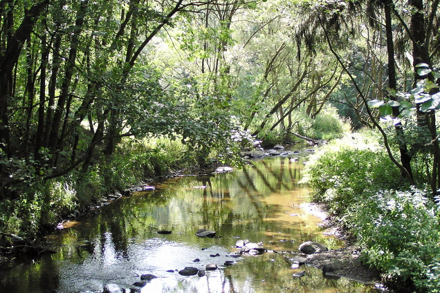Landschaft im Weidatal