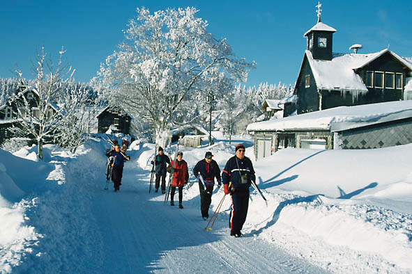 Winter in Friedrichshöhe