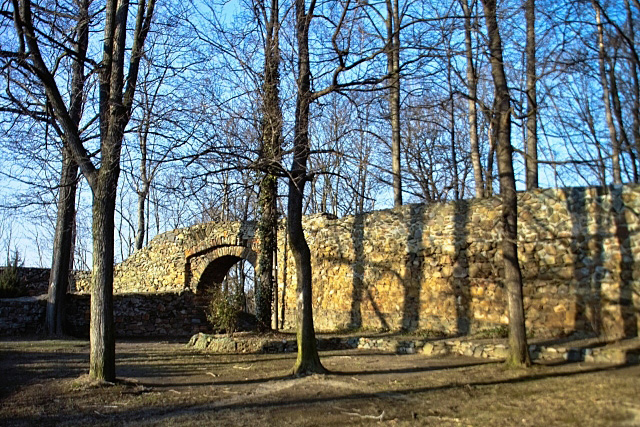 Burgruine Reichenfels