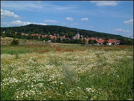 Blick auf Queienfeld