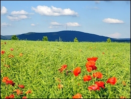 Blick zum Bleßberg (865 m)