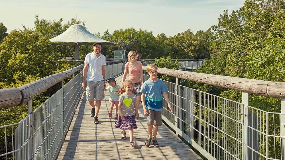 Familie auf dem Baumkronenpfad im Nationalpark Hainich