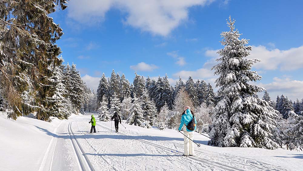Winter im Thüringer Wald