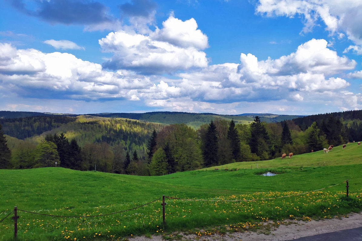 Ferienwohnung "Haus Silberblick" ****