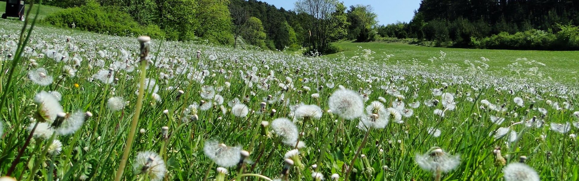 Landschaft in der Thüringer Rhön