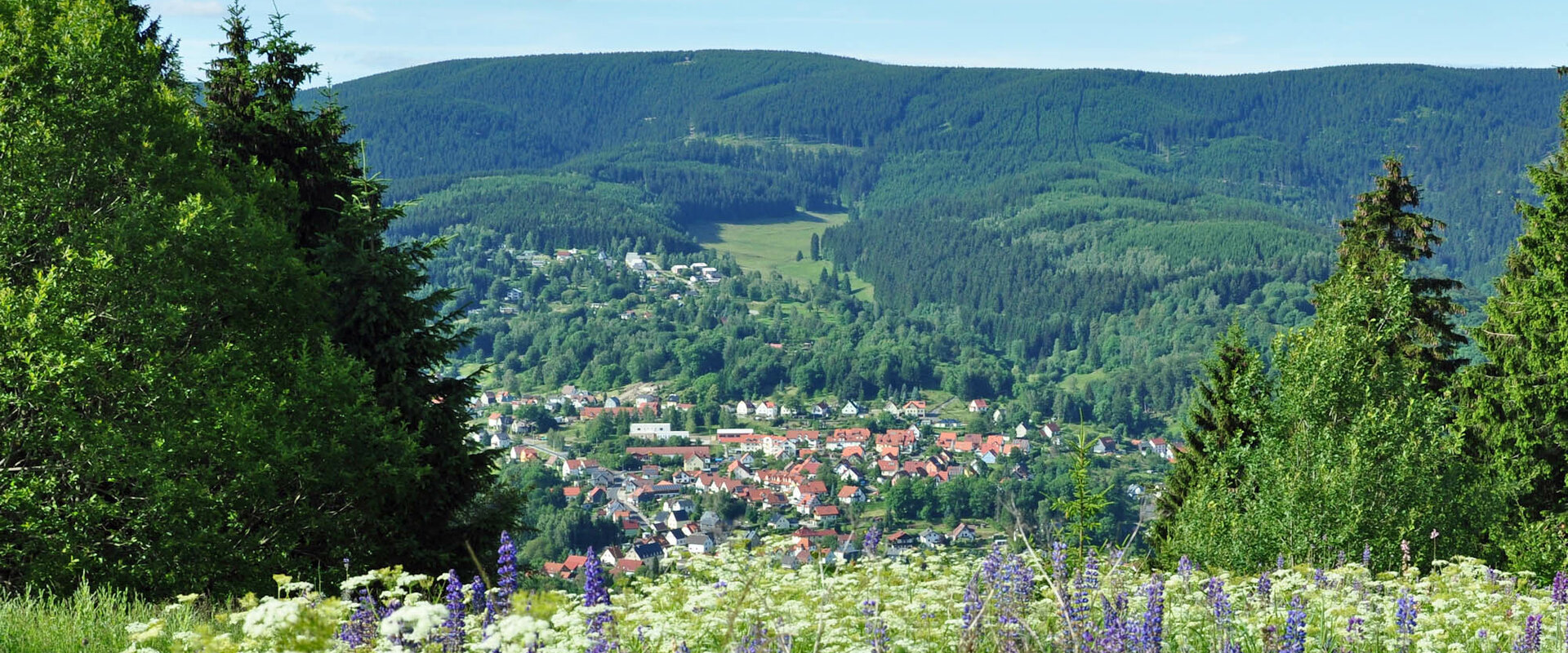 Goldlauter-Heidersbach