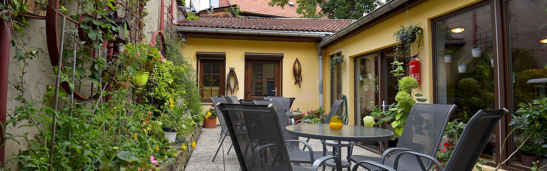 Pension-Bergstube-Panorama