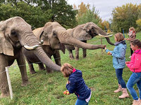 Erlebnispark Starkenberg