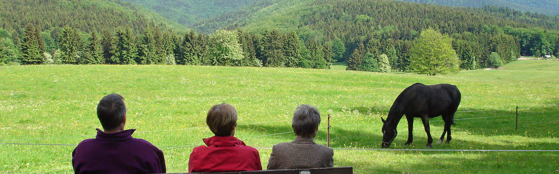 Thüringer Wald-Infos
