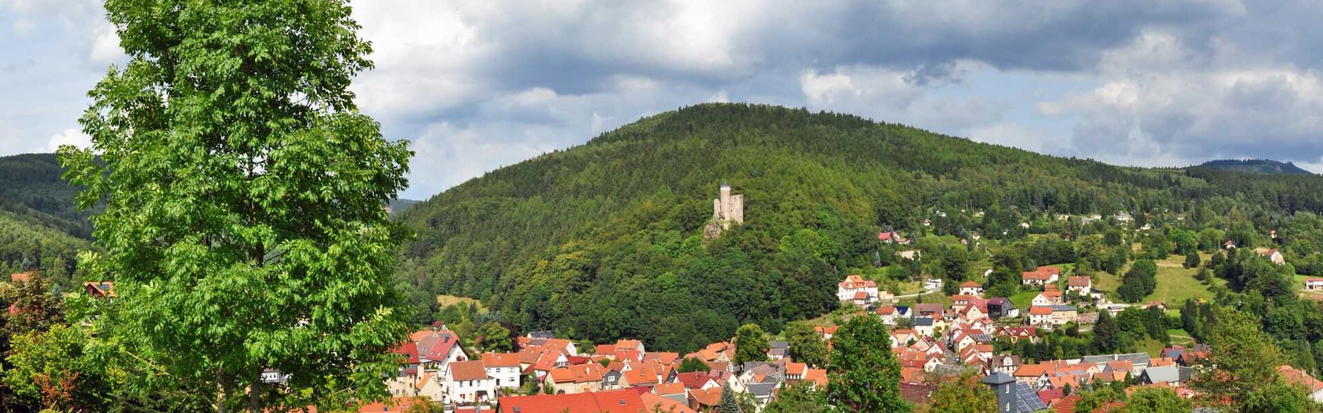 Steinbach-Hallenberg-Panorama