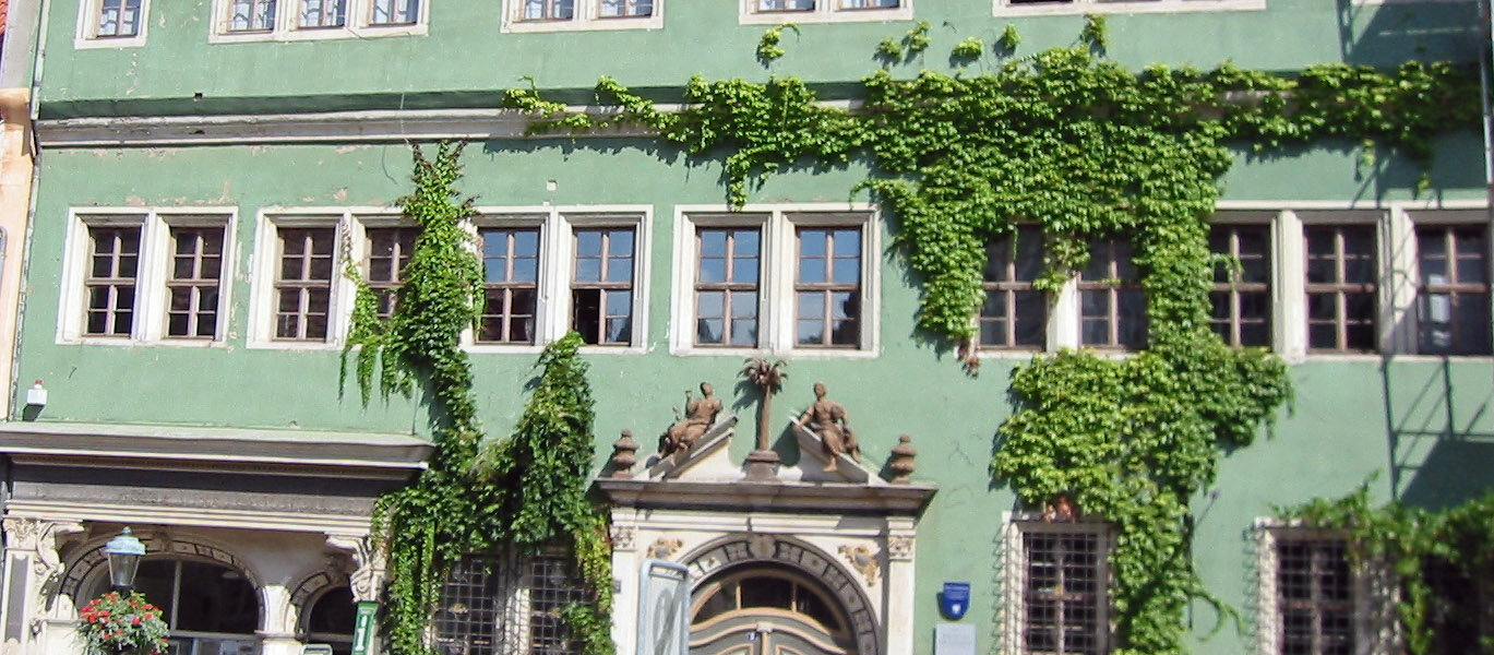 Haus zum Palmenbaum
