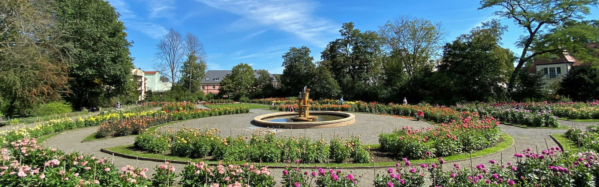 Dahliengarten (© Foto: Claudia Steinhäußer)