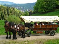 Pferdeschlitten- und Planwagenfahrten Oberhof