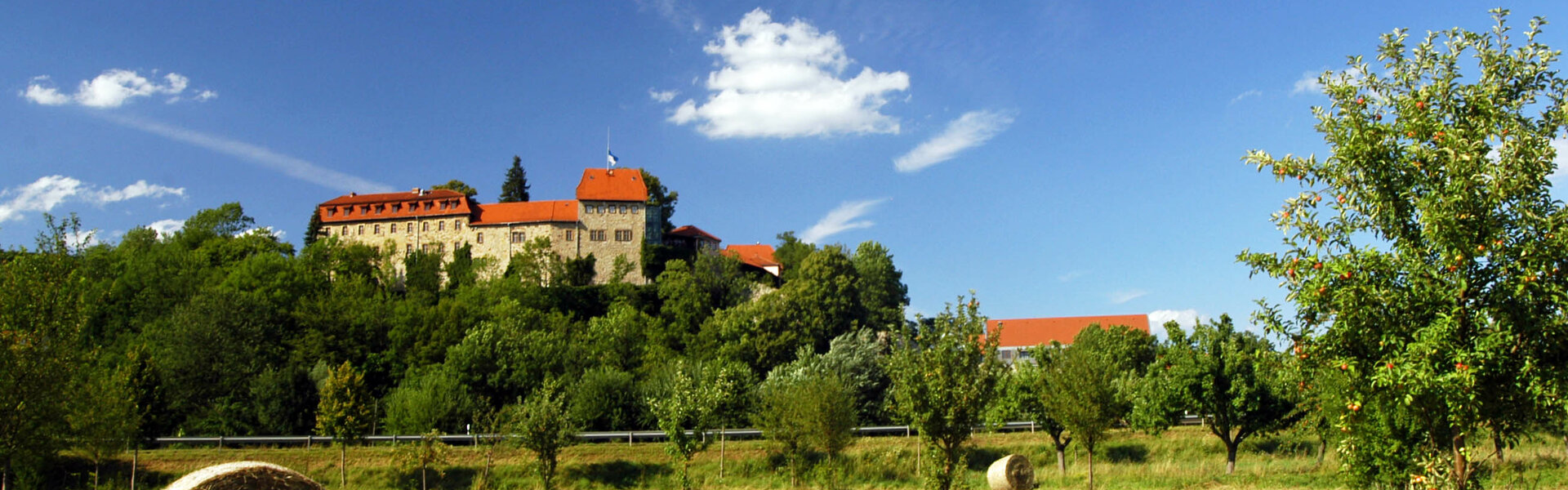 Burg Creuzburg