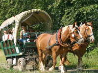 Reit- und Kutschtouristik Ortlepp